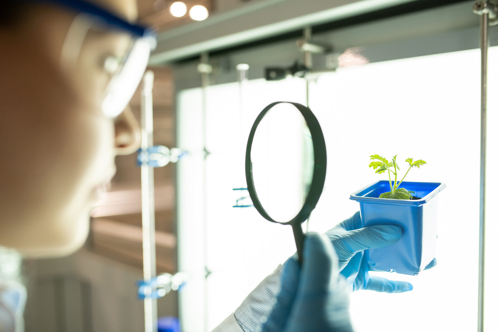 Clean Core Research field study of clean energy deployment